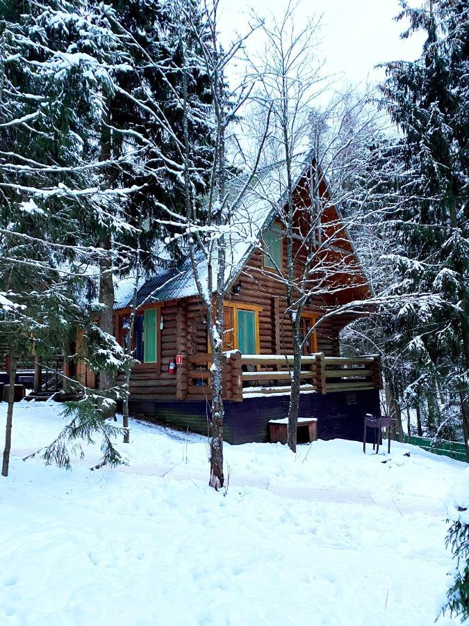 Lada Holiday Cottages Lopotovo Bagian luar foto